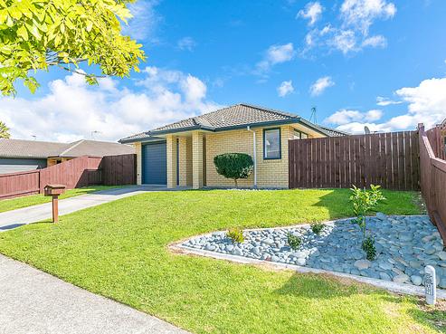 11 Earlswood Avenue, Hamilton East