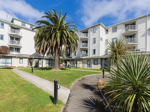 8/13B Palm Grove, Berhampore
