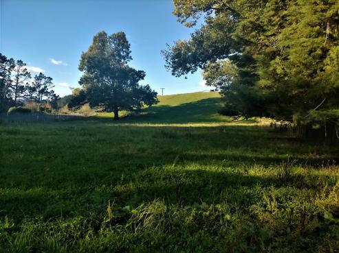 1764 Tarata Road, Tarata