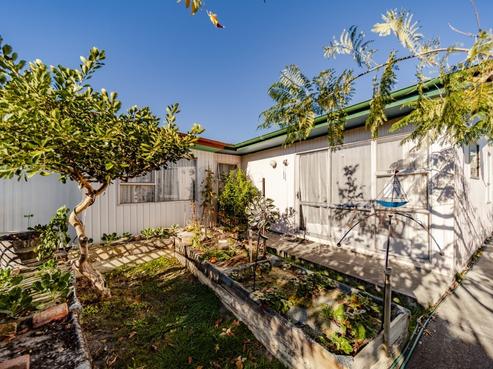 19 Plunket Street, Tamatea
