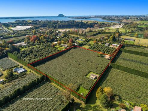 103 Te Puna Road, Te Puna
