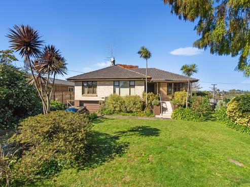 85 Ellicott Road, Nawton