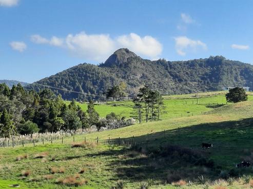 51 Ti Kouka Way, Kaiwaka