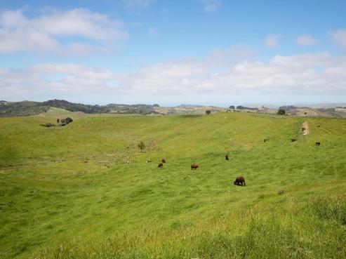 2702 Wairamarama Onewhero Road, Glen Murray