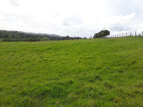 28 Follies Way, Dairy Flat