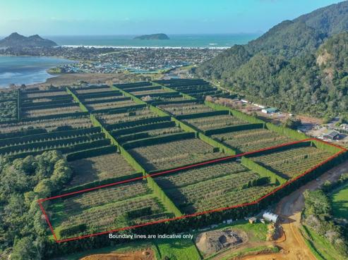 32 Gooseberry Grove, Pauanui