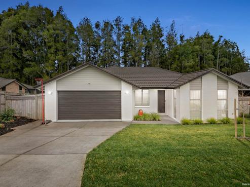 20 Lisle Farm Drive, Pukekohe