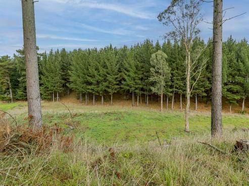 490 Foxton Shannon Road, Foxton