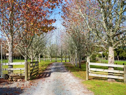 31 Ward Road, Matakana