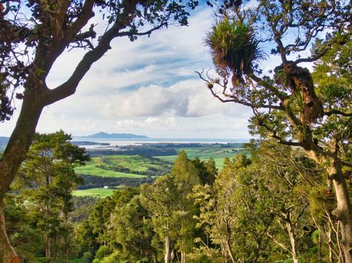 342 Cames Road, Mangawhai