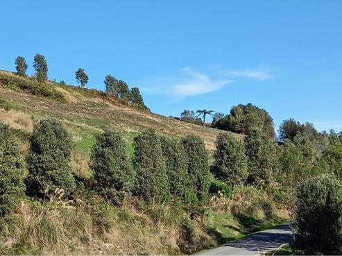 2 Middle Paddock Road, Kaniere