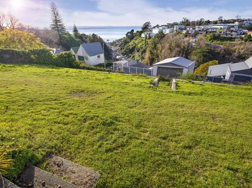 21 Lincoln Road, Napier Hill