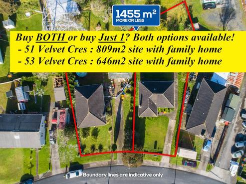 53 Velvet Crescent, Otara
