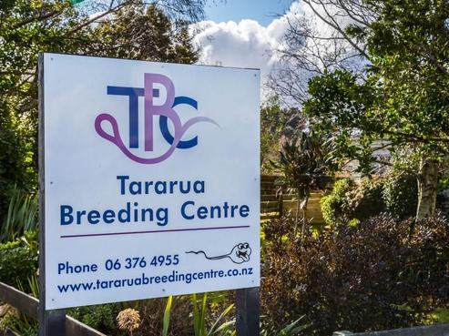 80541 Masterton Road, Woodville