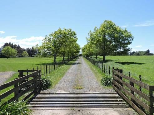 682 Speedy Road, Ongaonga