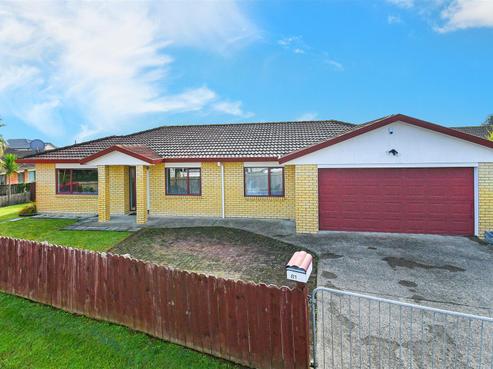 81 Pitt Avenue, Clendon Park