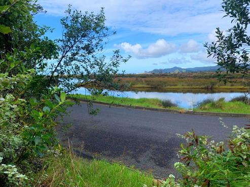 187 Gray Road, Great Barrier Island