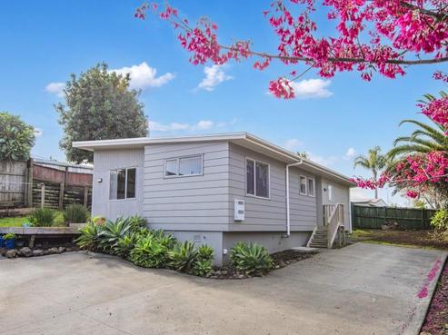 22A Mcclintock Street, Whau Valley