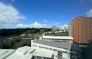 Great natural light with views over the Auckland Domain