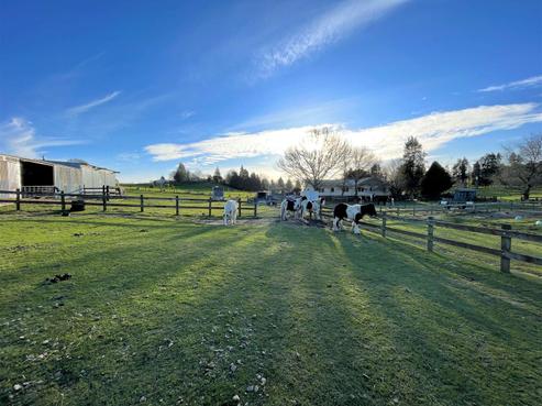 164 Mossop Road, Tokoroa