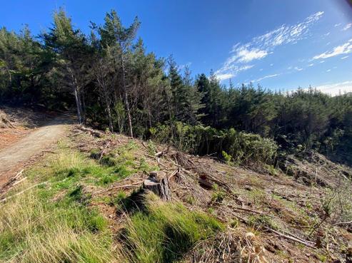 364 Fern Flat Road, Peria