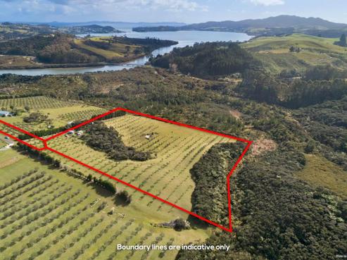 125C Frantoio Ridge Road, Mangonui