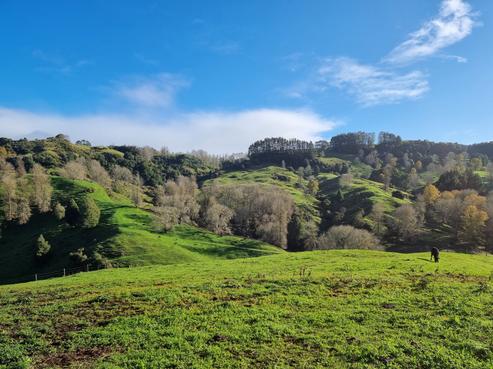 597 Waitomo Valley Road, Otorohanga