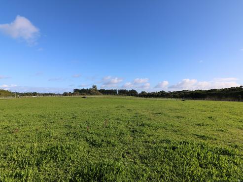 369 Kaimaumau Road, Awanui