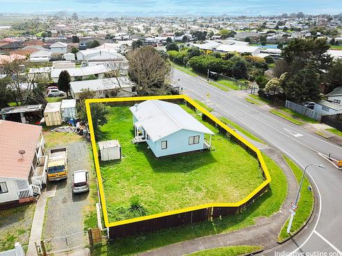 233 Finlayson Avenue, Clendon Park
