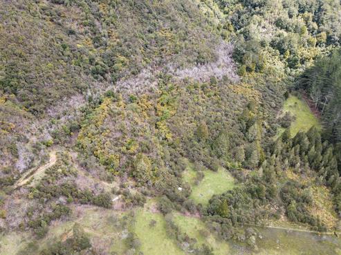 1677 Takaputahi Road, Opotiki Coastal