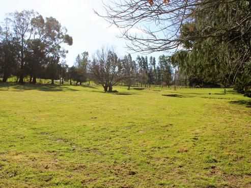 89 Victoria Avenue, Dannevirke