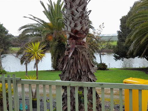 1154 East Coast Road, Redvale