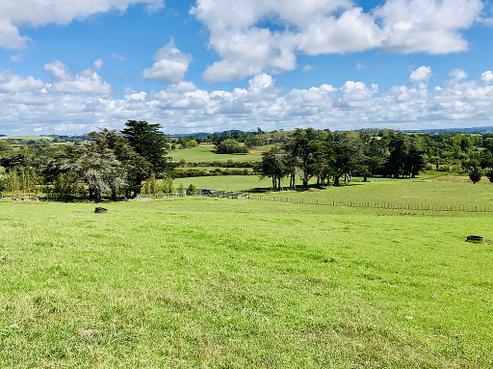8 Bobs Way, Dairy Flat