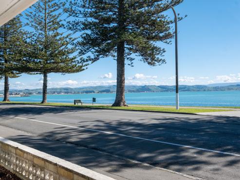 64 Hardinge Road, Ahuriri