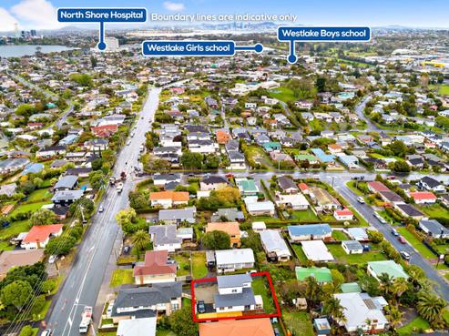 106A Forrest Hill Road, Forrest Hill