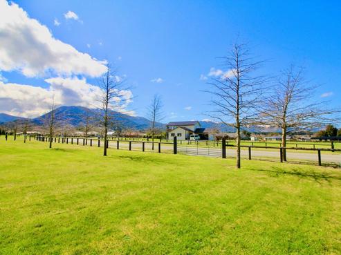 42 Lochiel Drive, Hanmer Springs