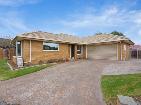 23 Showgate Avenue, Sockburn