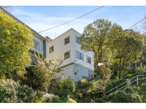 162B Raroa Road, Aro Valley