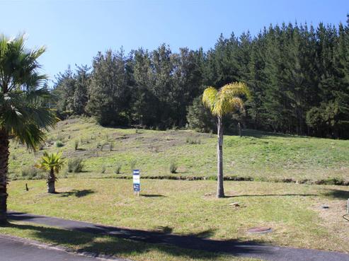 37 Pinehurst Drive, Pauanui