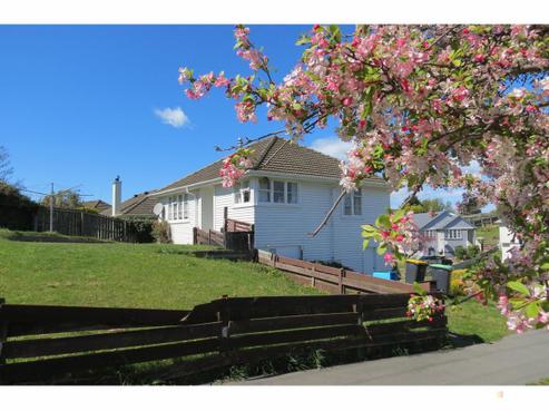 85 Andrew Street, Marchwiel