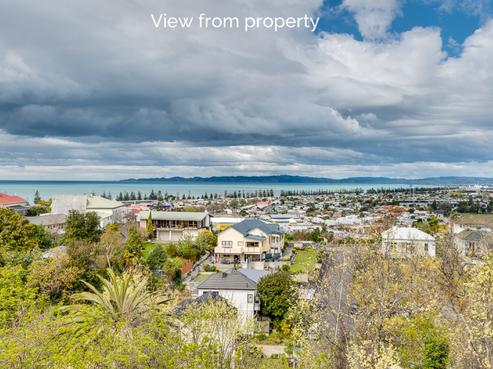 22 Colenso Avenue, Napier Hill
