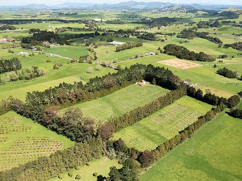 1374 Pipiwai Road, Ruatangata
