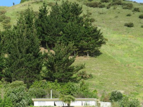 47 Lochiel Street, Mahia