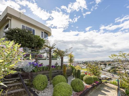 24A Havelock Road, Napier Hill