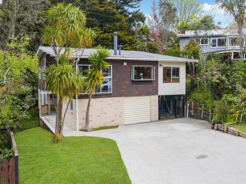 41 Castleton Street, Birkdale