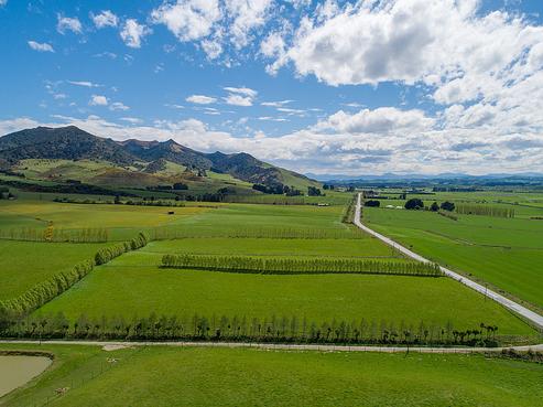 263 Waimea Highway, Gore Surrounds