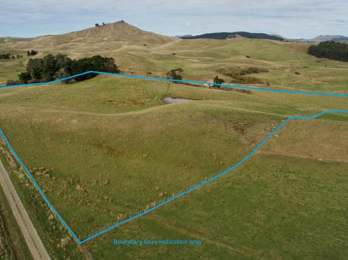 10654 Route 52, Pongaroa