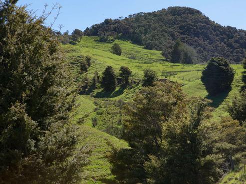 299 Peria Road, Peria