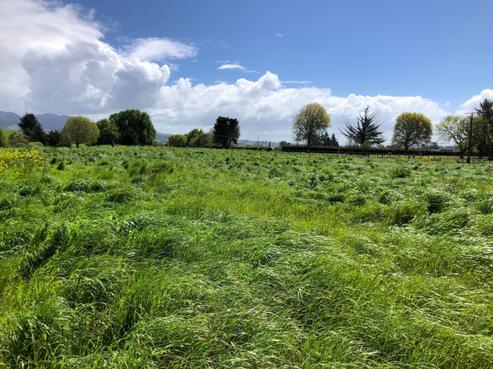 102 Old Taupo Road, Arapuni