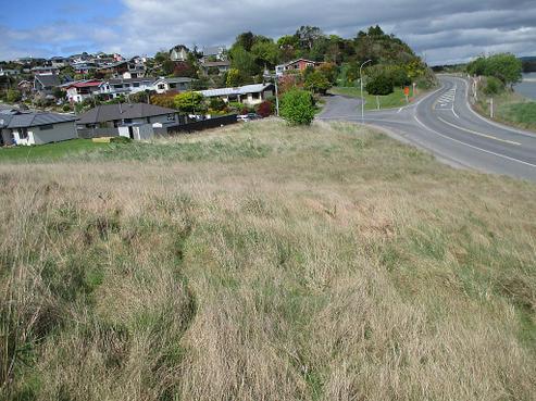 77 Hasborough Place, Balclutha